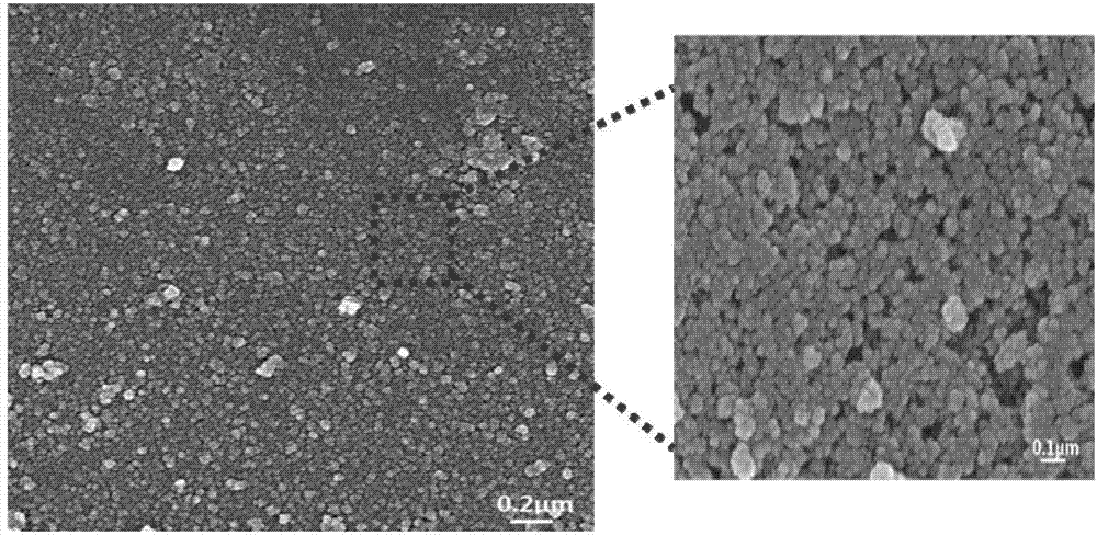 Preparation method of superhydrophilic/superhydrophobic composite nanofiltration membrane