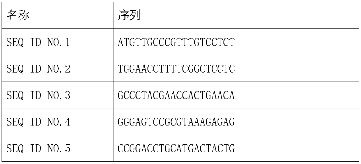 High-sensitivity HBV DNA digital PCR quantitative detection kit and application thereof