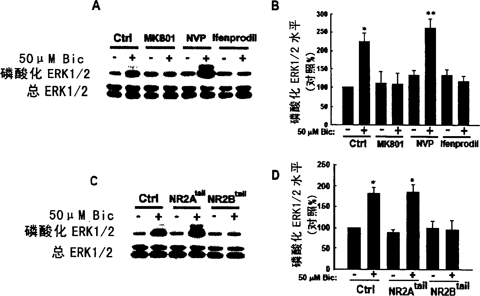 Effect of N-methyl-D-asparagic acid acceptor in epilepsy generation