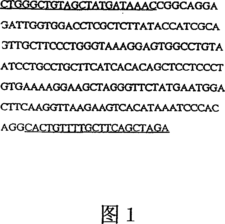 Medical preparations for treatment of alpha-galactosidase A deficiency