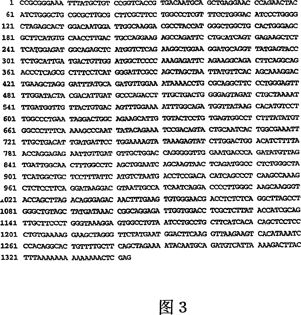 Medical preparations for treatment of alpha-galactosidase A deficiency