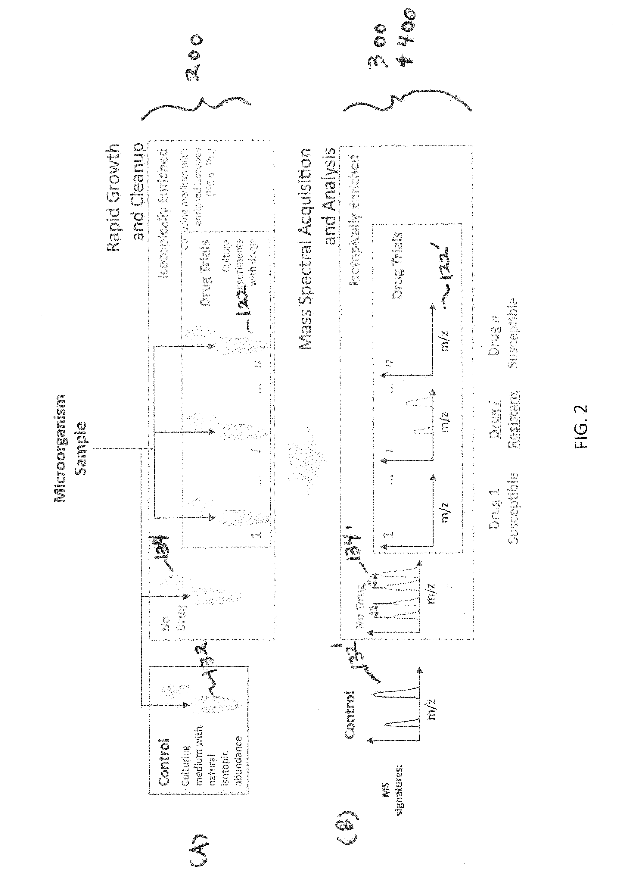 Systems and methods for determining drug resistance in microorganisms