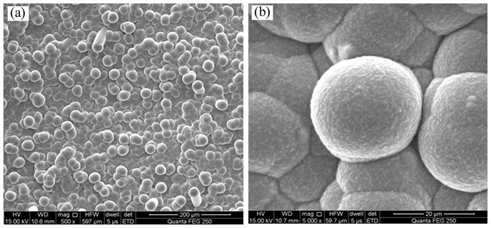 A kind of sic composite coating for porous thermal insulation carbon material and preparation method thereof