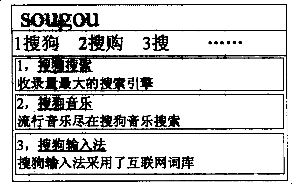 Convenient information search method, system and an input method system