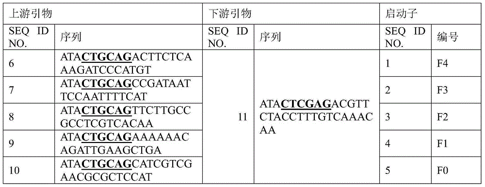 Promoter and recombinant expression vector as well as application thereof and method for expressing heterologous proteins