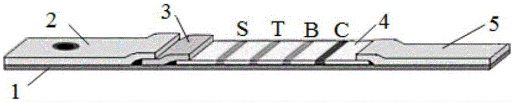 Antibiotic test paper strip and preparation method and application thereof