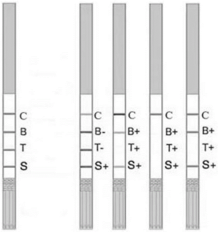 Antibiotic test paper strip and preparation method and application thereof