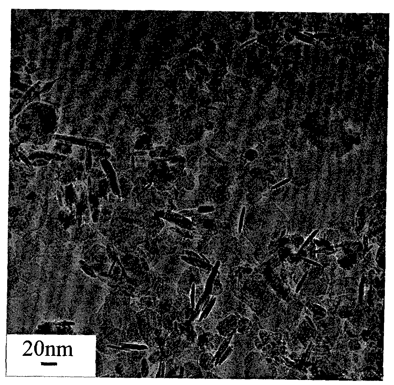 Method for preparing ferroferric oxide nano sheet