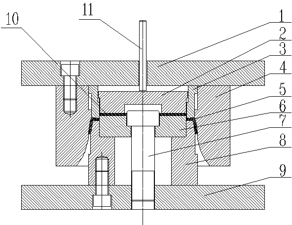 Self-positioning bottom blanking and forming die for stamped bearing retainer