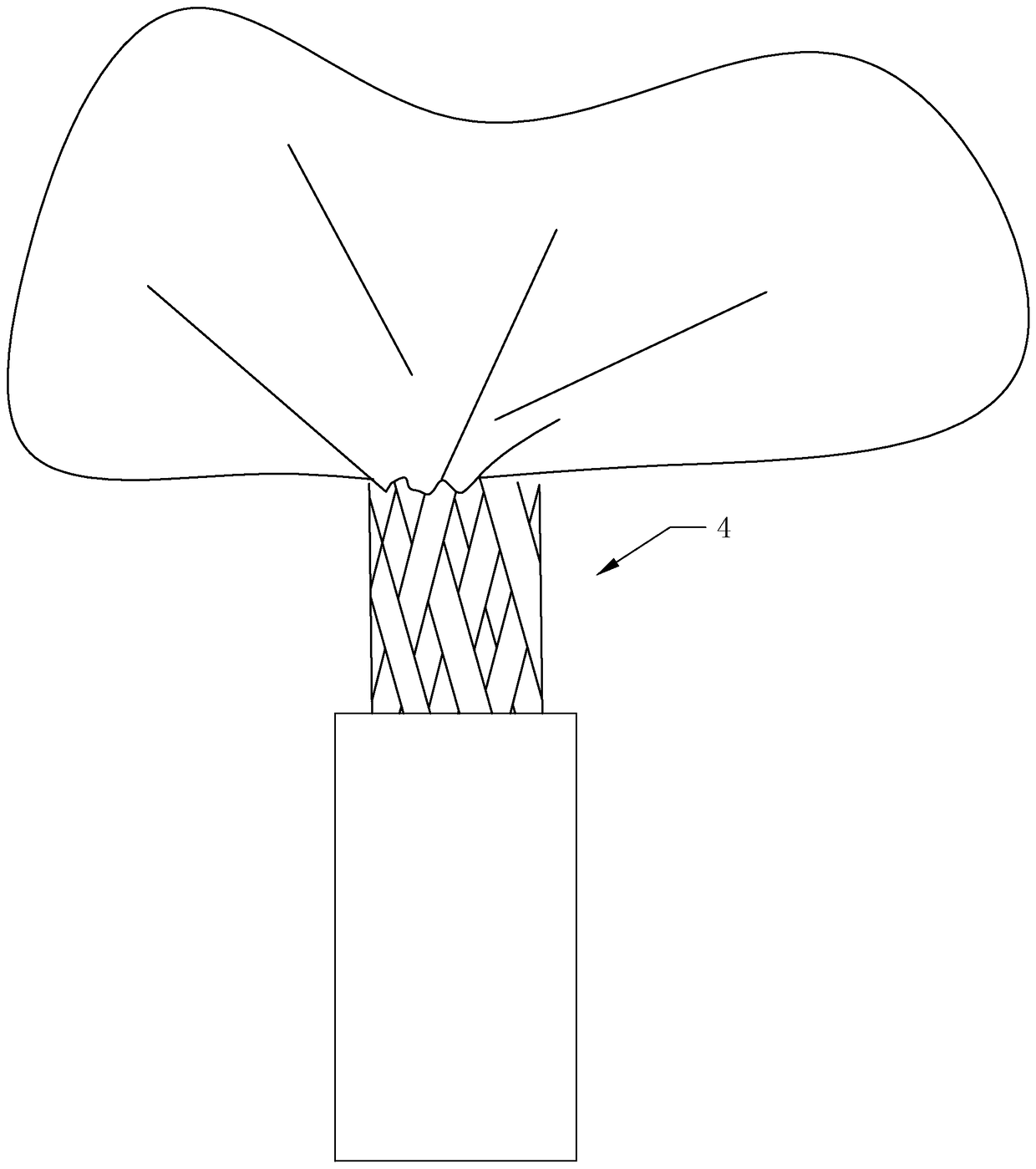 Cultivation and cultivation method of a crape myrtle landscape art tree that shrinks in three years and becomes a tube in five years