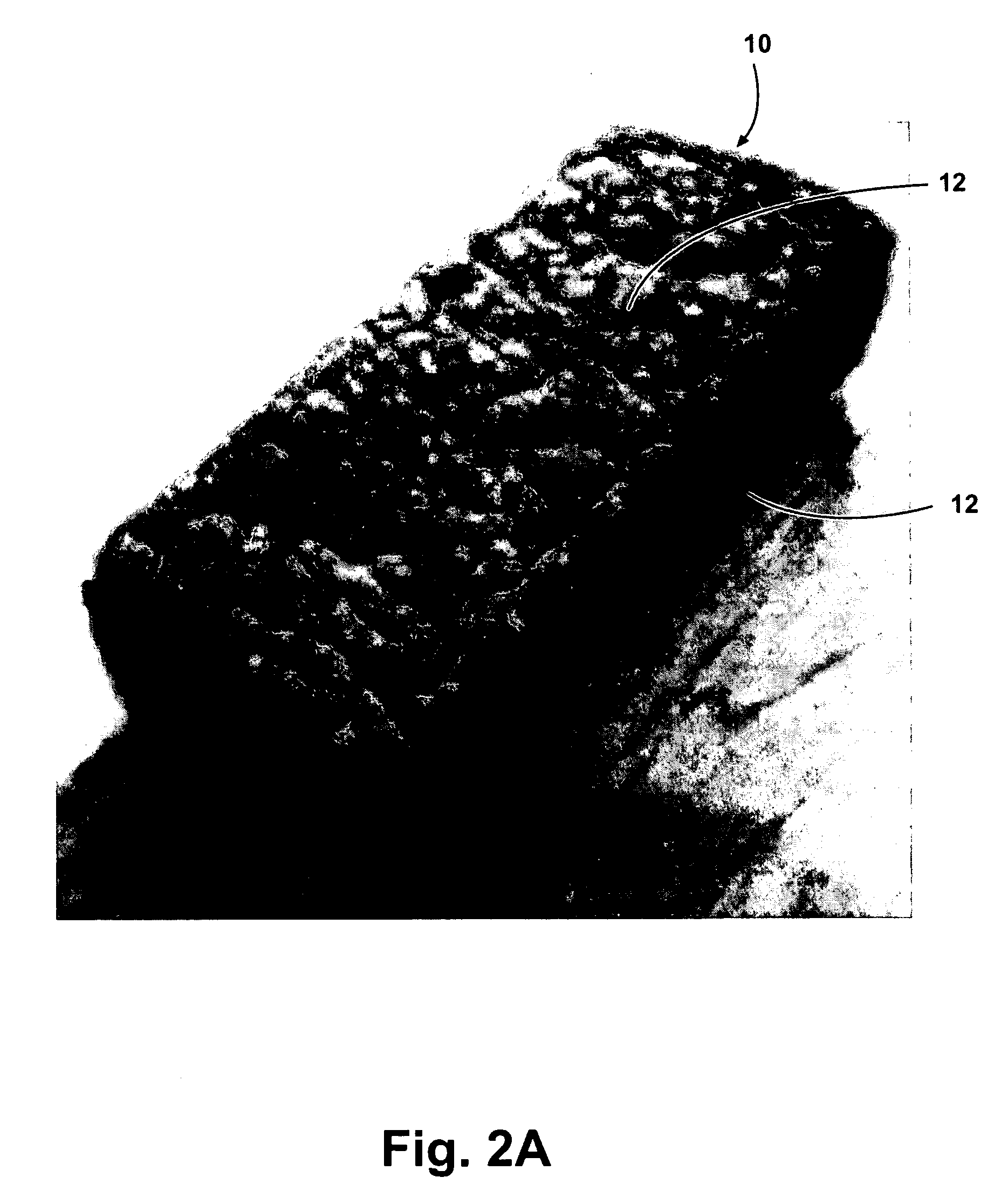 Device and process for processing organic waste