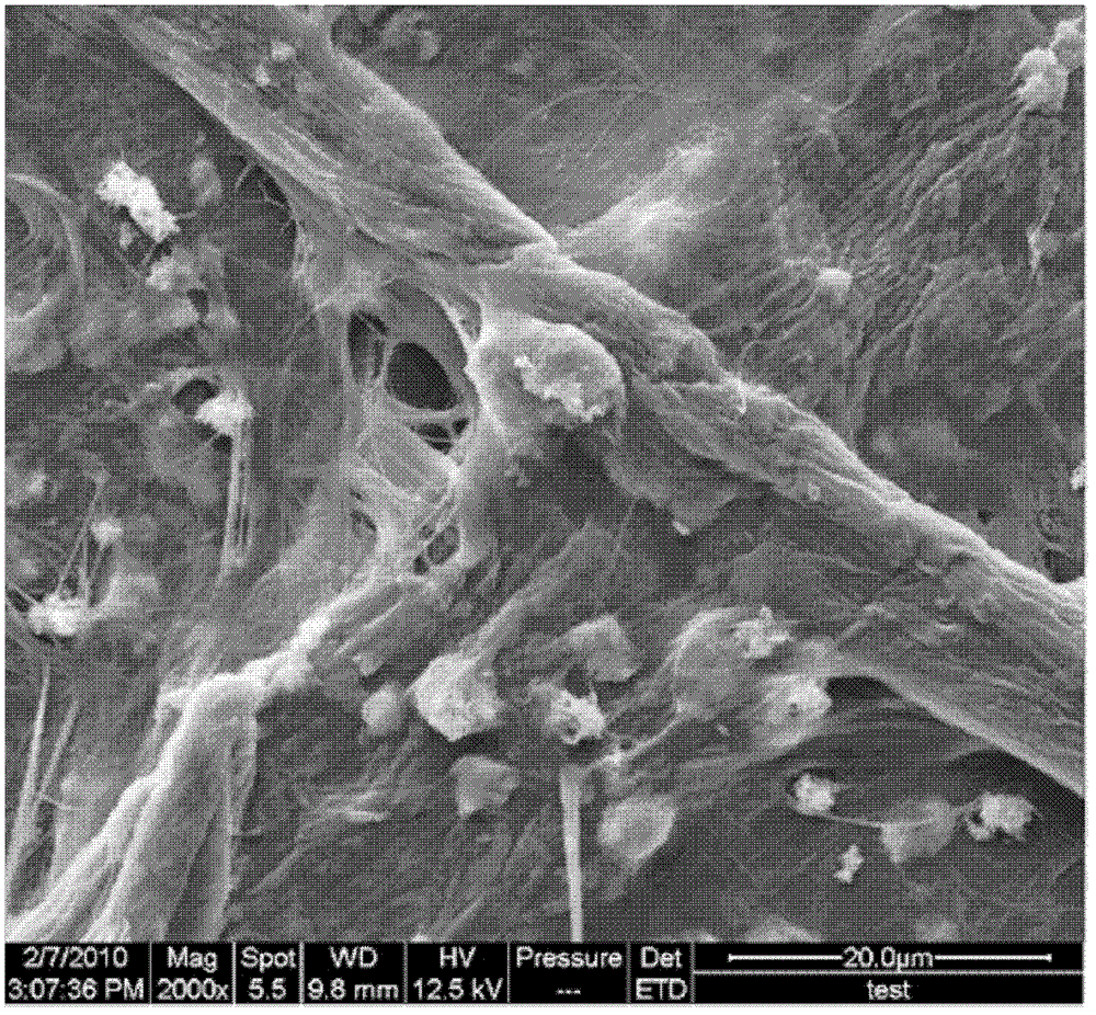 Modified calcium carbonate filler and preparation method and application thereof in wet-strength paper