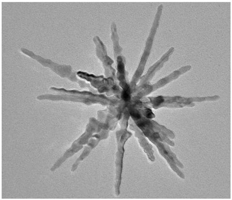 Diadema setosum-type PdCuIr nitrogen reduction electrocatalyst and preparation method thereof