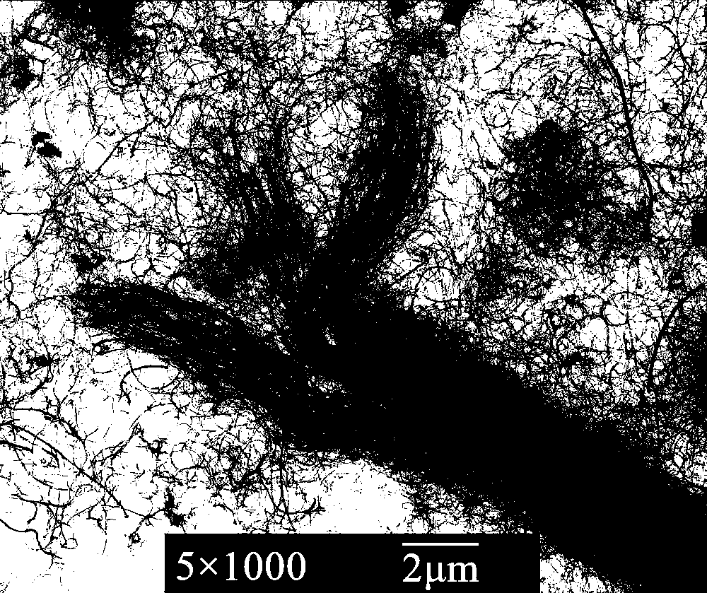 Method for inducing polymer to graft carbon nano tube in mixed solvent for self-assembly