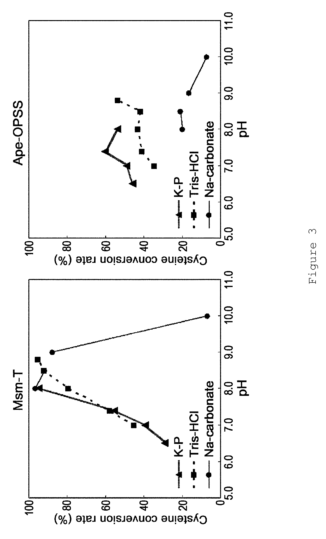 Microorganism producing O-phosphoserine and method of producing L-cysteine or derivatives thereof from O-phosphoserine using the same