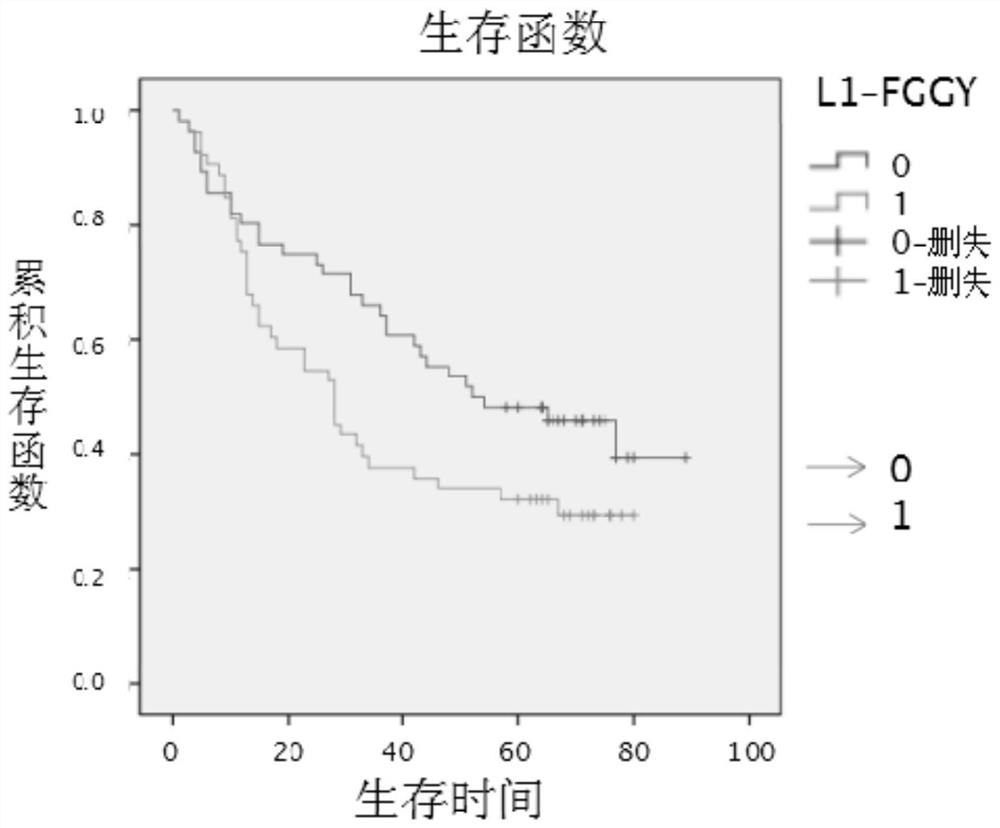 A retrotransposable gene l1-fggy and its use as a marker for lung squamous cell carcinoma