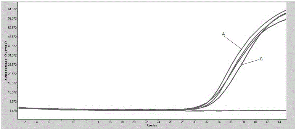 Method and kit for extracting free nucleic acid by using paramagnetic particle method