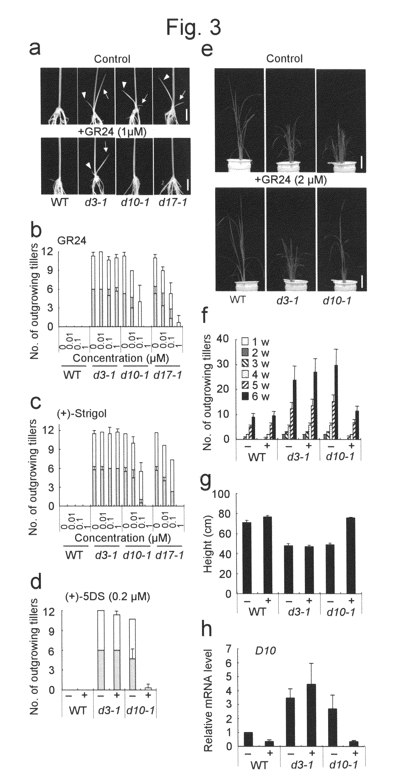 Method for controlling root parasitic plants