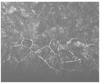 Low-cost anti-decarburization coating material for heavy rail steel and its application