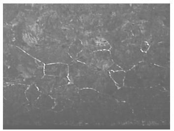 Low-cost anti-decarburization coating material for heavy rail steel and its application