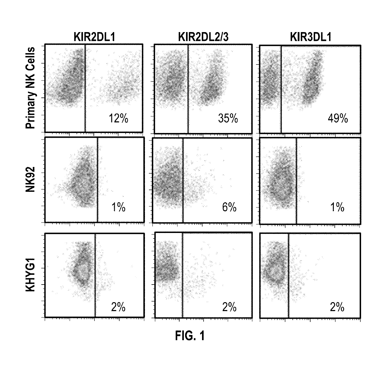 Nk cells for use with anitbodies in cancer therapy