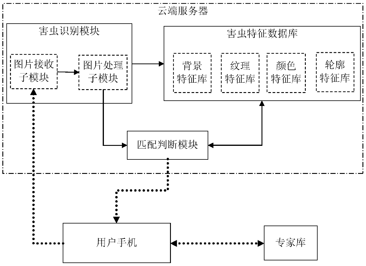 Litchi pest monitoring and identifying system and method