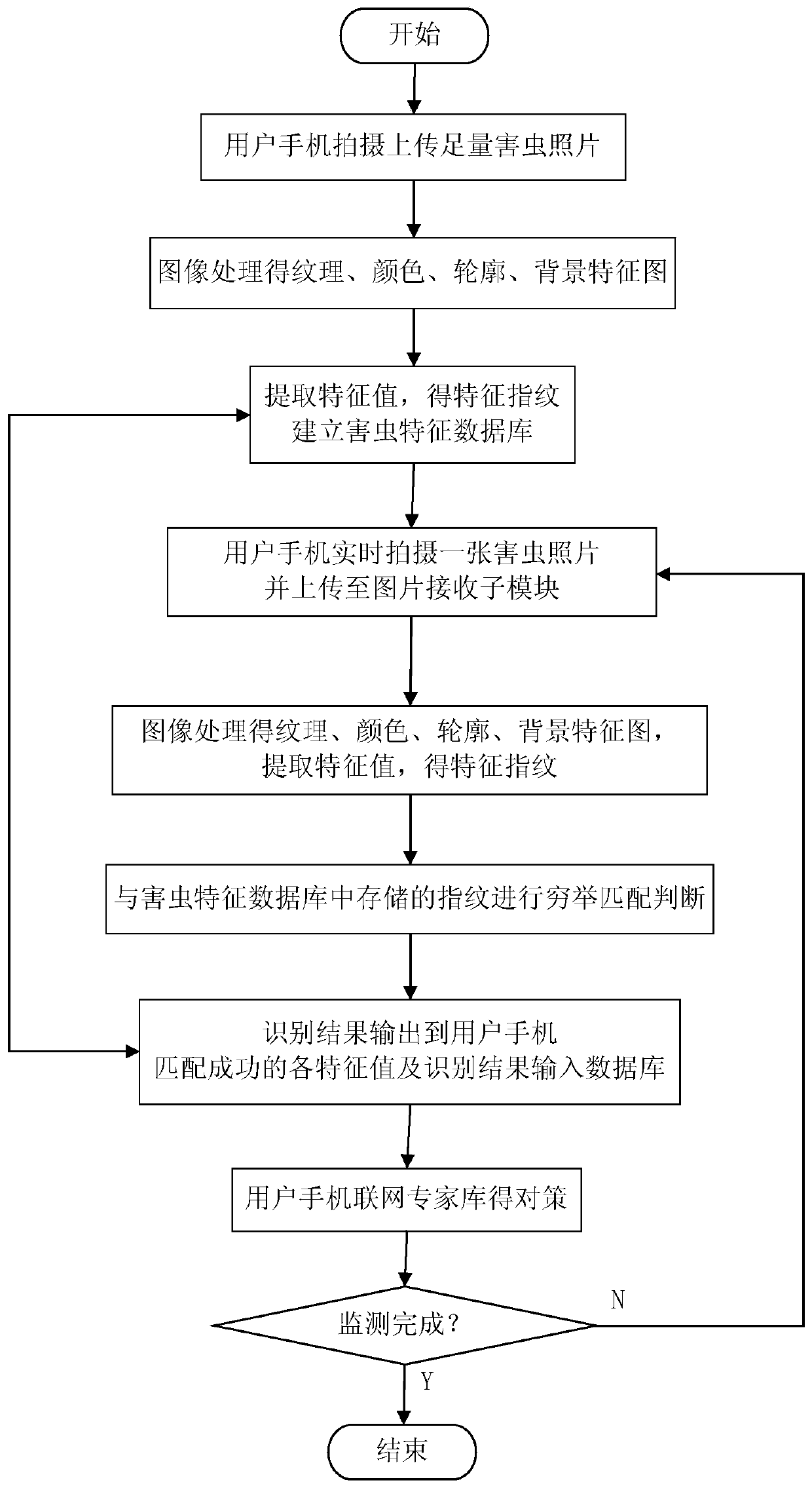 Litchi pest monitoring and identifying system and method