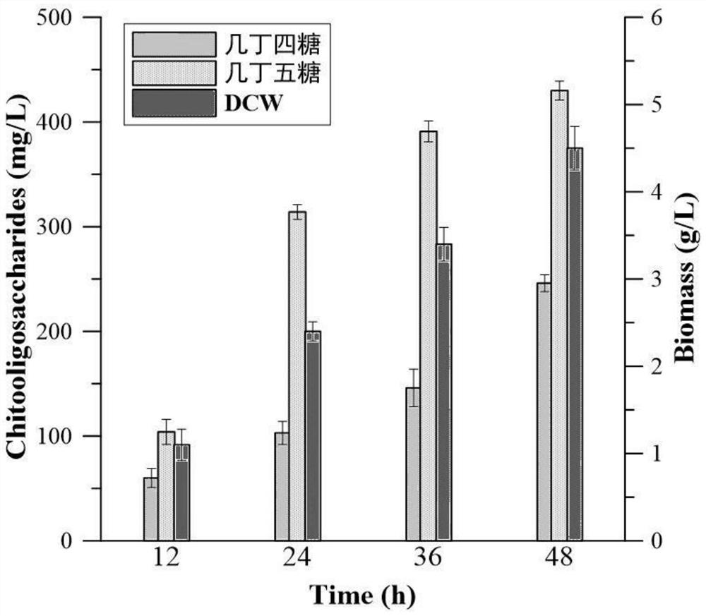 Codon-optimized N-acetylglucosamine transferase gene and application thereof