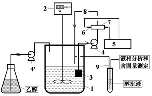 Method for detecting Danhong injection ethanol precipitation process on line