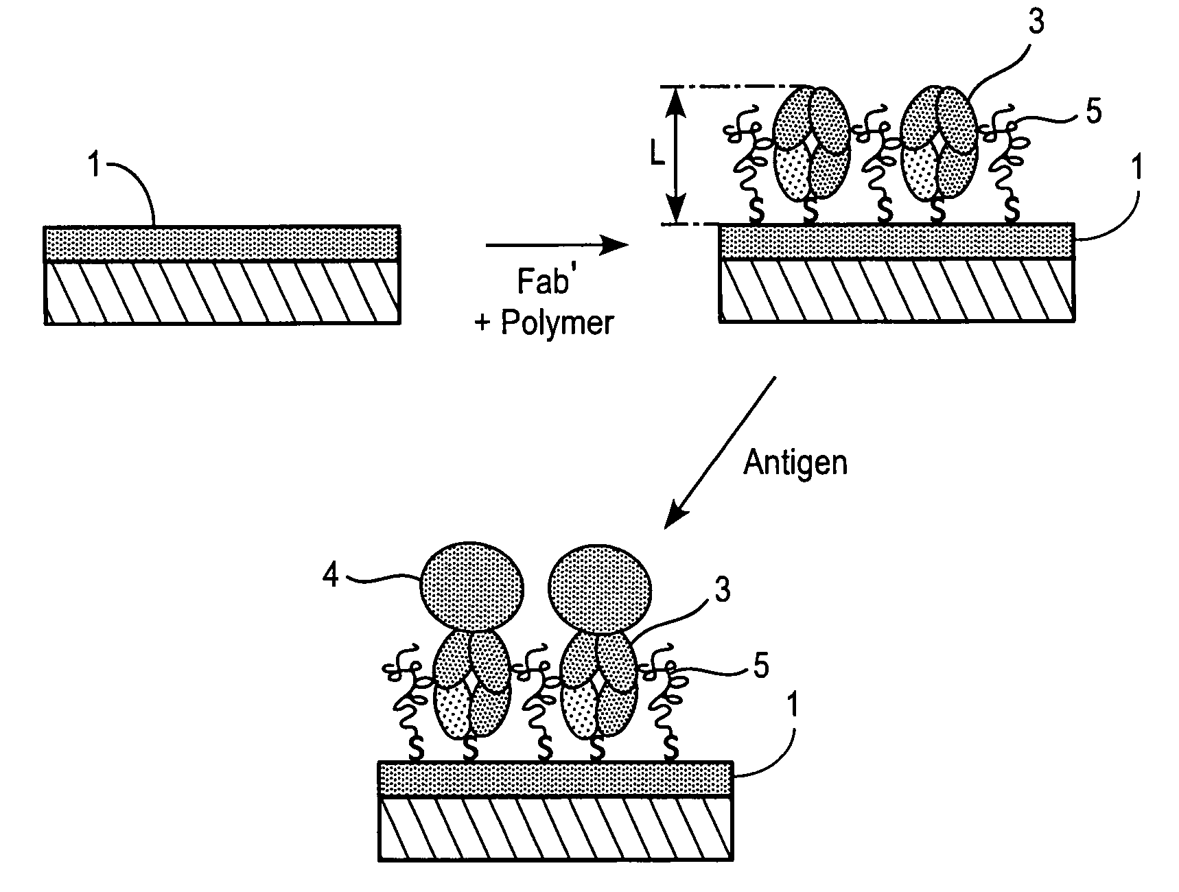 Method and biosensor for analysis