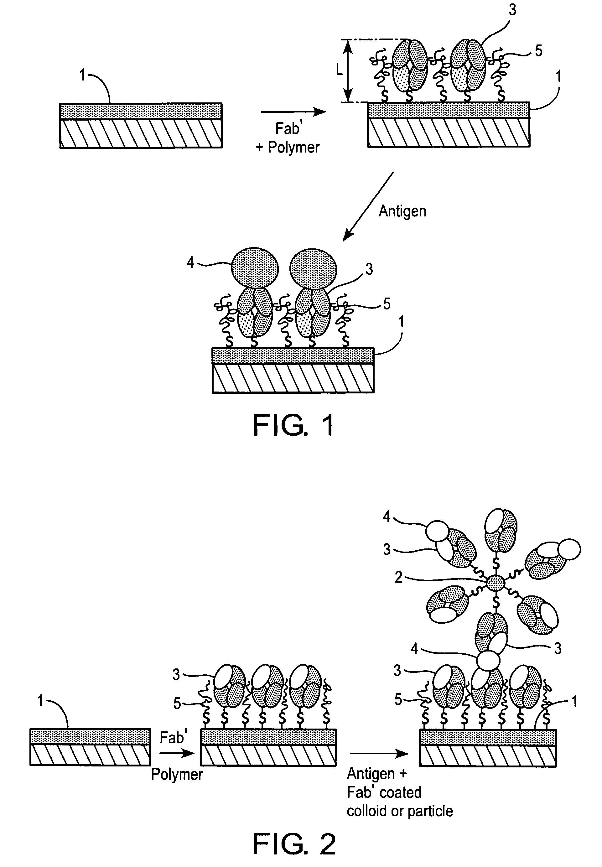 Method and biosensor for analysis