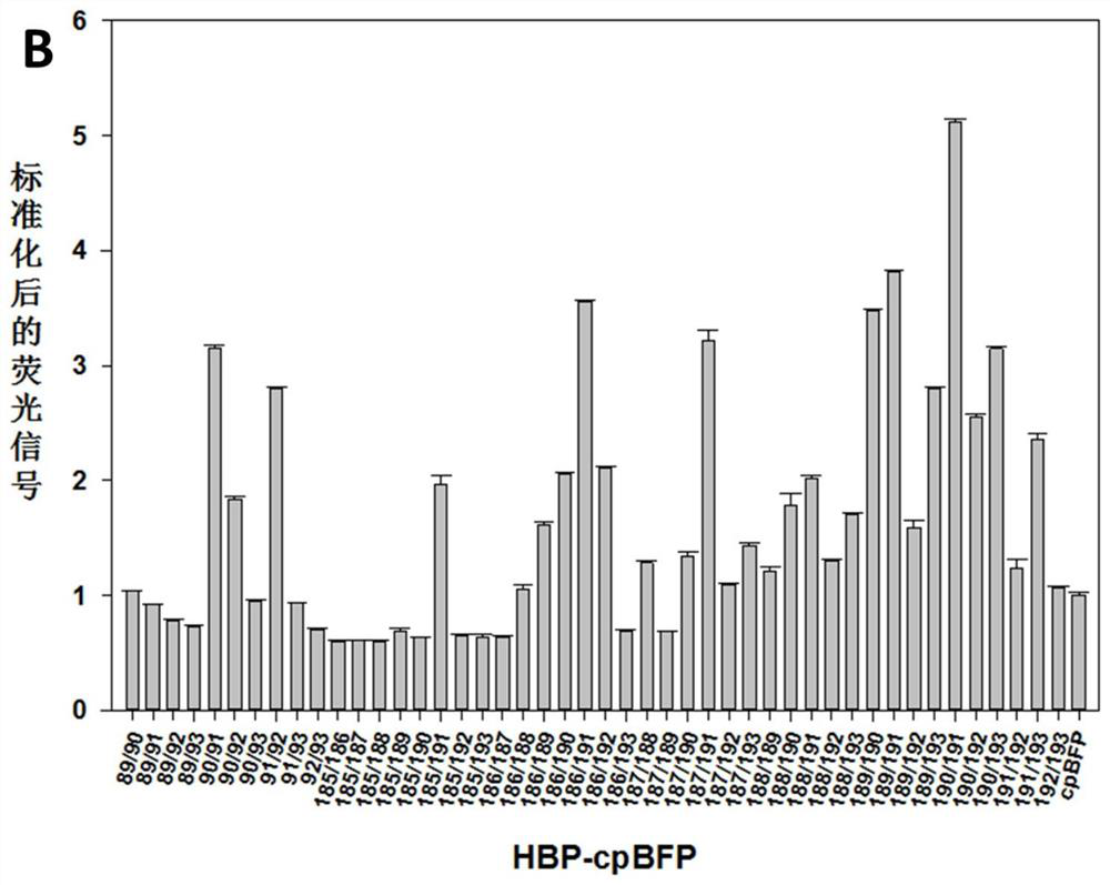 A kind of histidine fluorescent probe and its preparation method and application