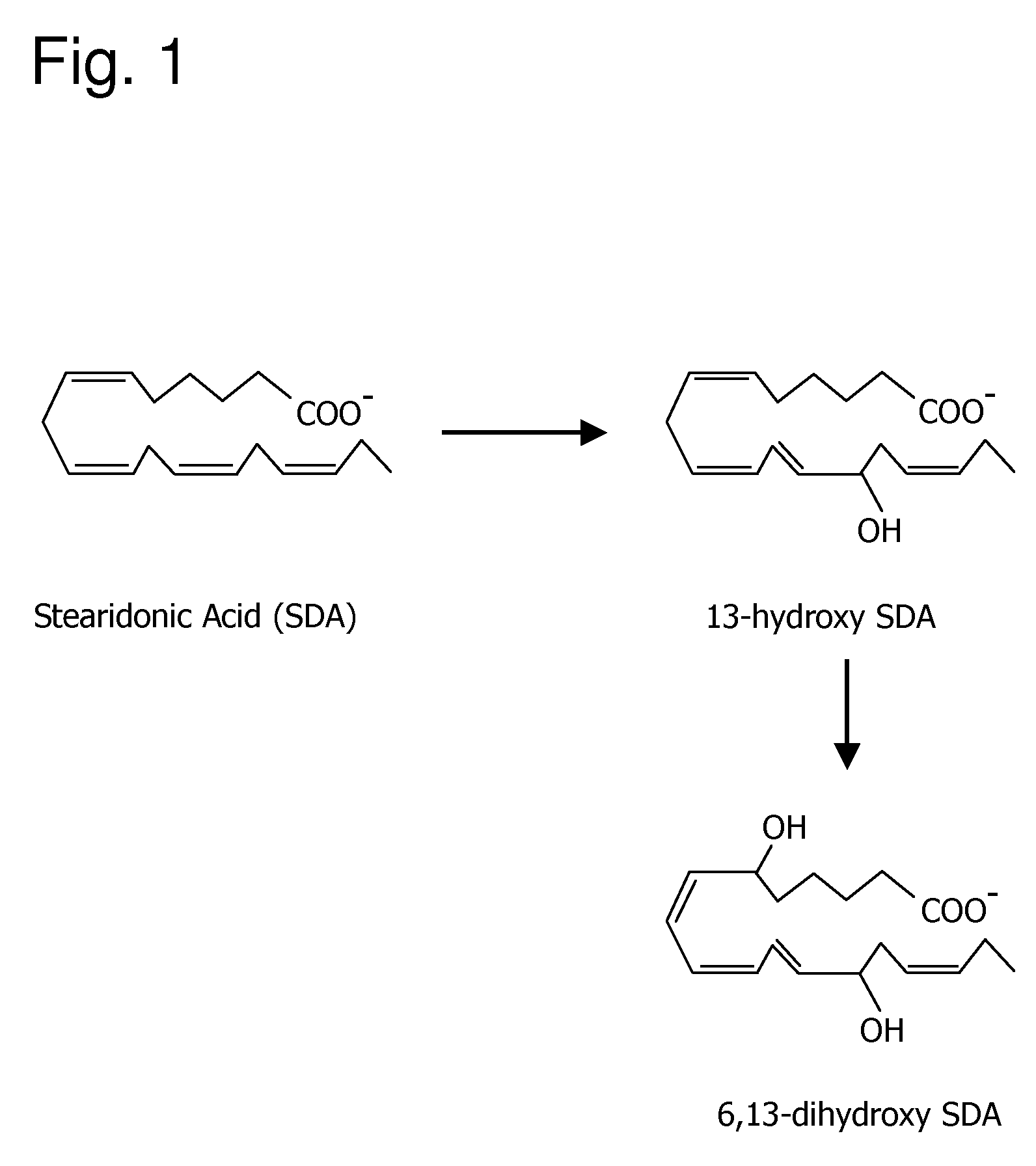 Oxylipins from stearidonic acid and .gamma.-linolenic acid and methods of making and using the same