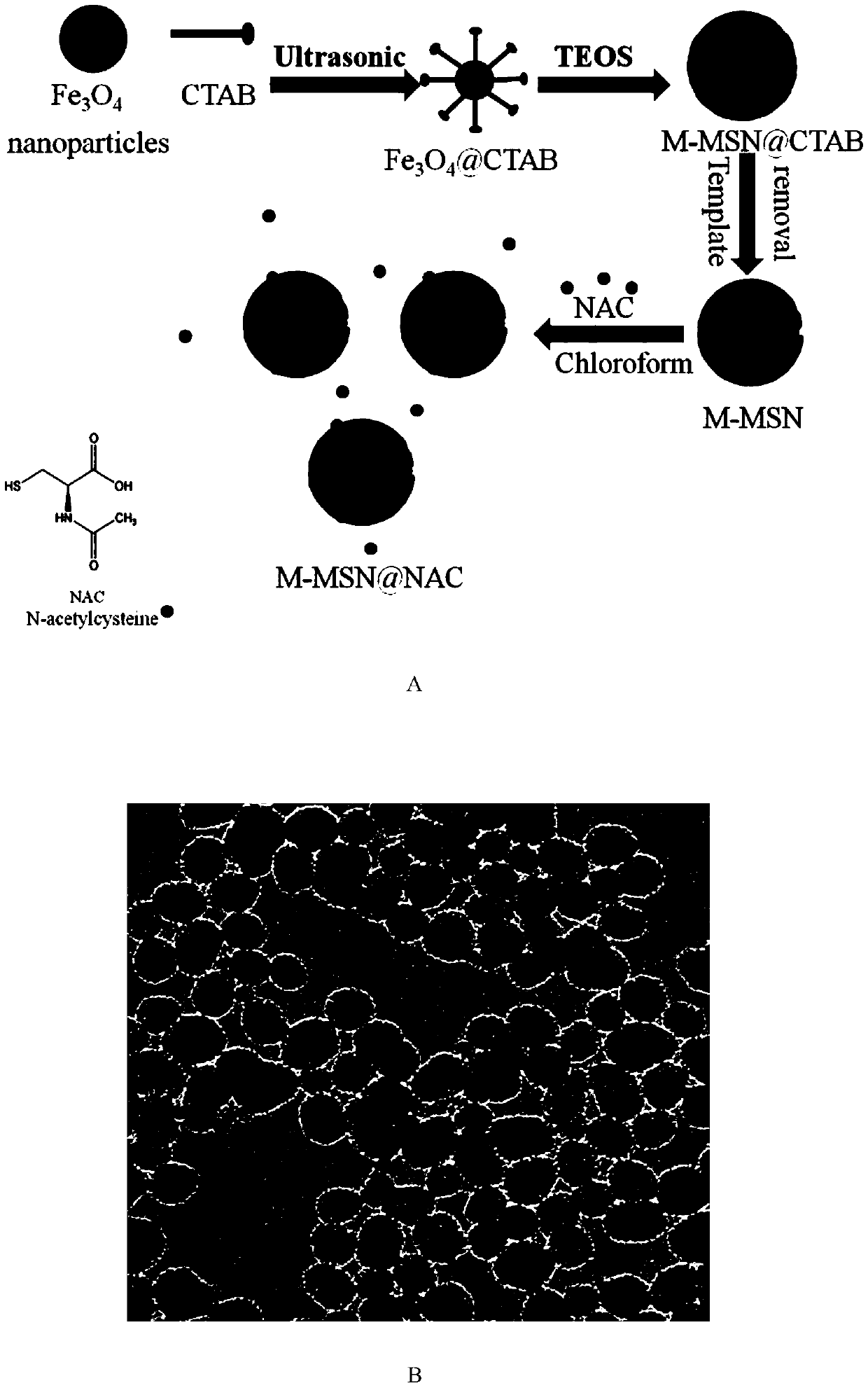 Anti-oxidative magnetic iron oxide nanoparticles and preparation method thereof