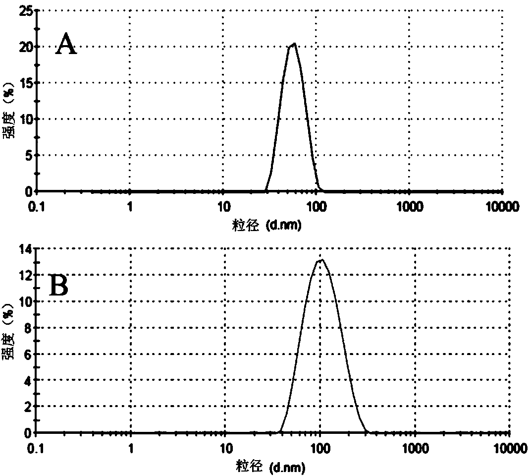 Preparation method of resveratrol-loaded and amino-modified mesoporous silica nanoparticles