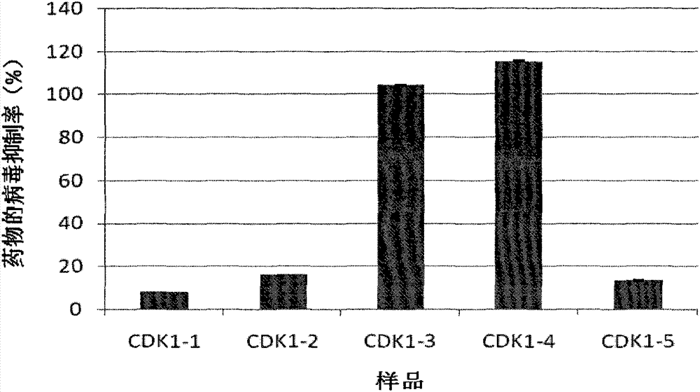 Structure and applications of oligonucleotide of EV71, Dengue, Japanese encephalitis and flu virus of target CDK1 resistance