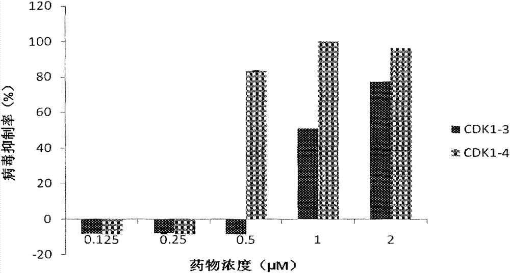 Structure and applications of oligonucleotide of EV71, Dengue, Japanese encephalitis and flu virus of target CDK1 resistance