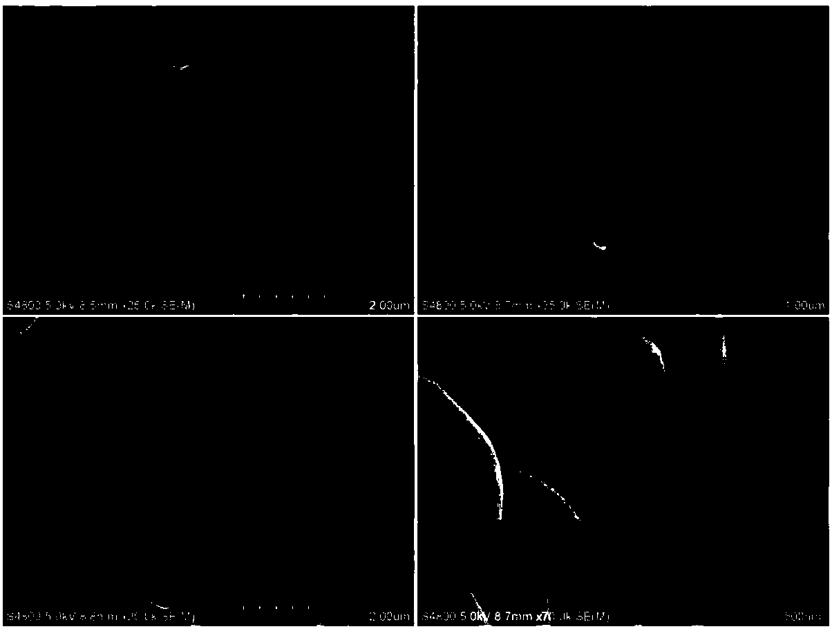 BiOCl nanoring and synthetic method thereof