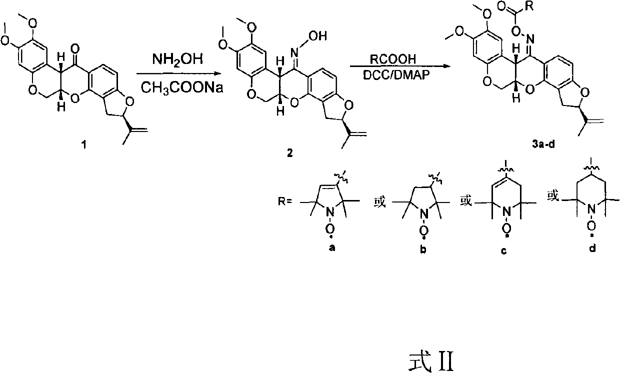Spin-labeling rotenone oxime ester, its preparation method and application