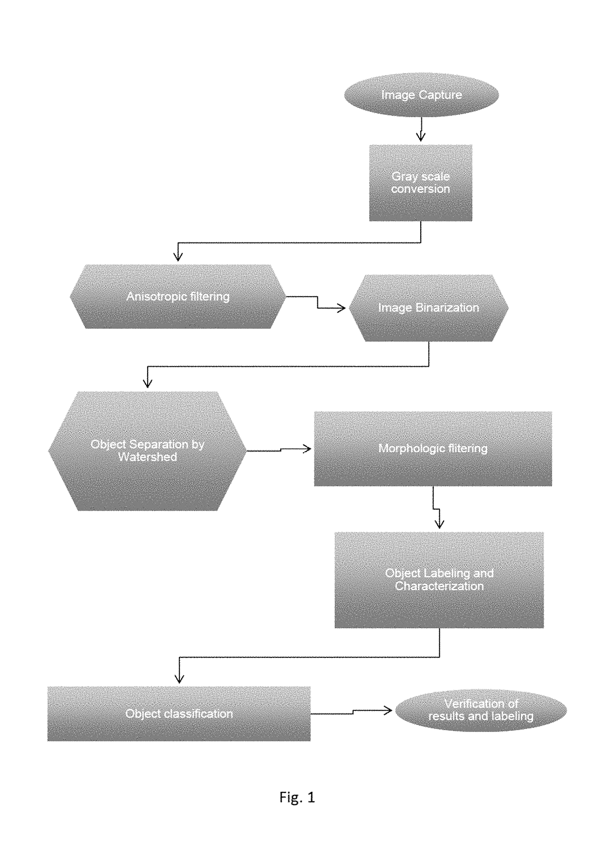 System for the identification and quantification of helminth eggs in environmental samples