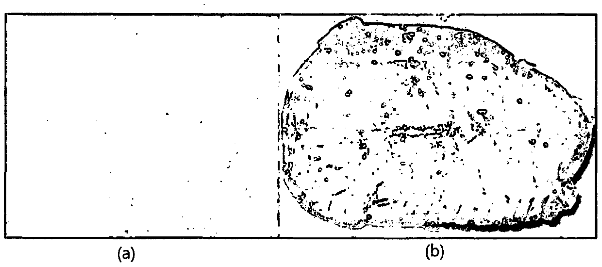 Method for purifying organic material to be used as material for organic light emitting device