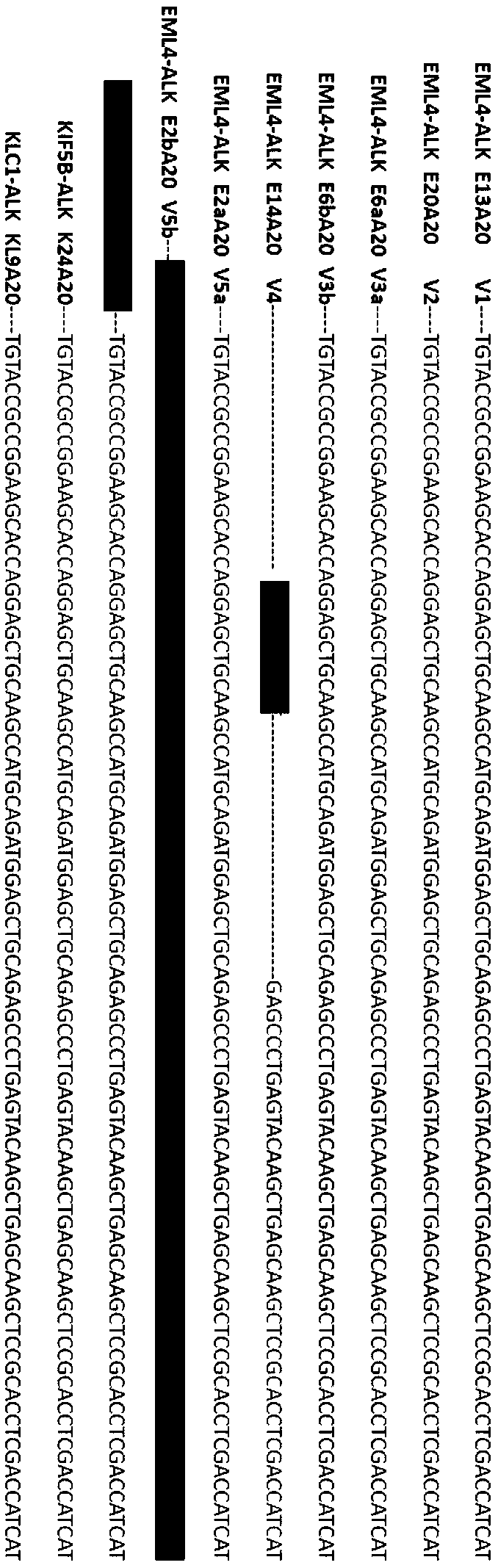 Primer/probe combination and kit for detecting gene fusion mutation and use method of kit