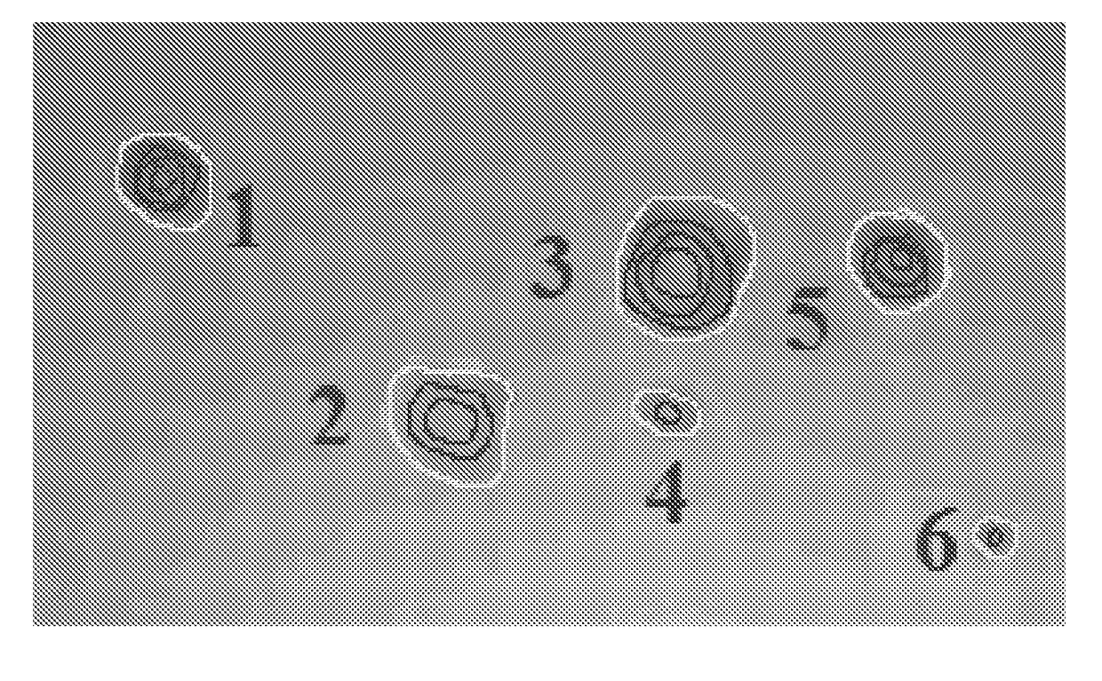 Method and system for detection and classification of particles based on processing of microphotographic images