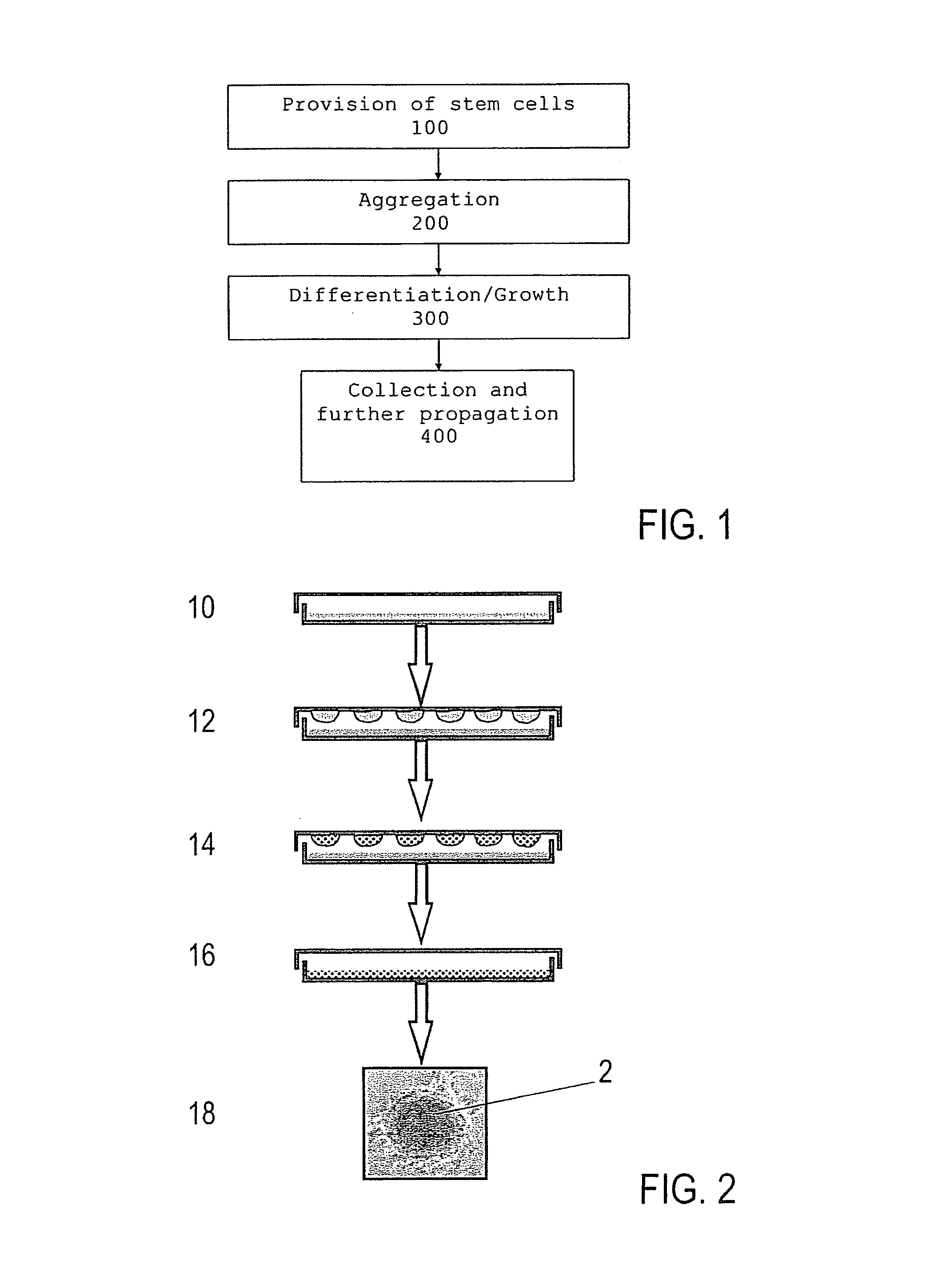 Method for the production of a cell composition containing epithelial cells