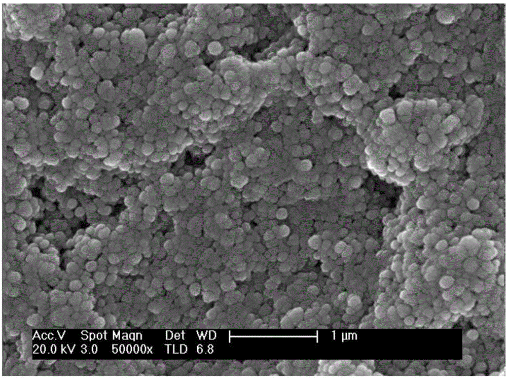 Non-toxic anticorrosive mildew-proof nano coating as well as preparation and application methods thereof