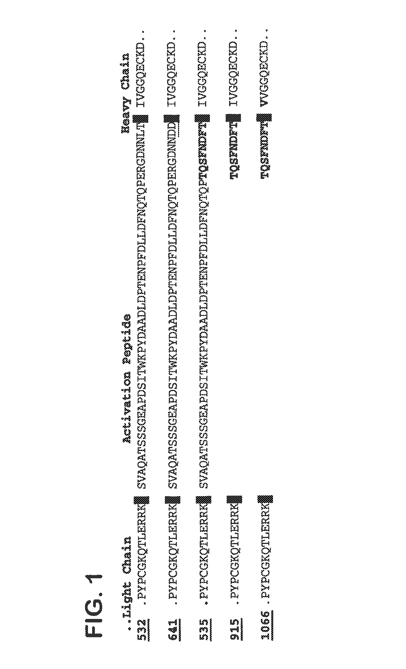 Coagulation factor X polypeptides with modified activation properties