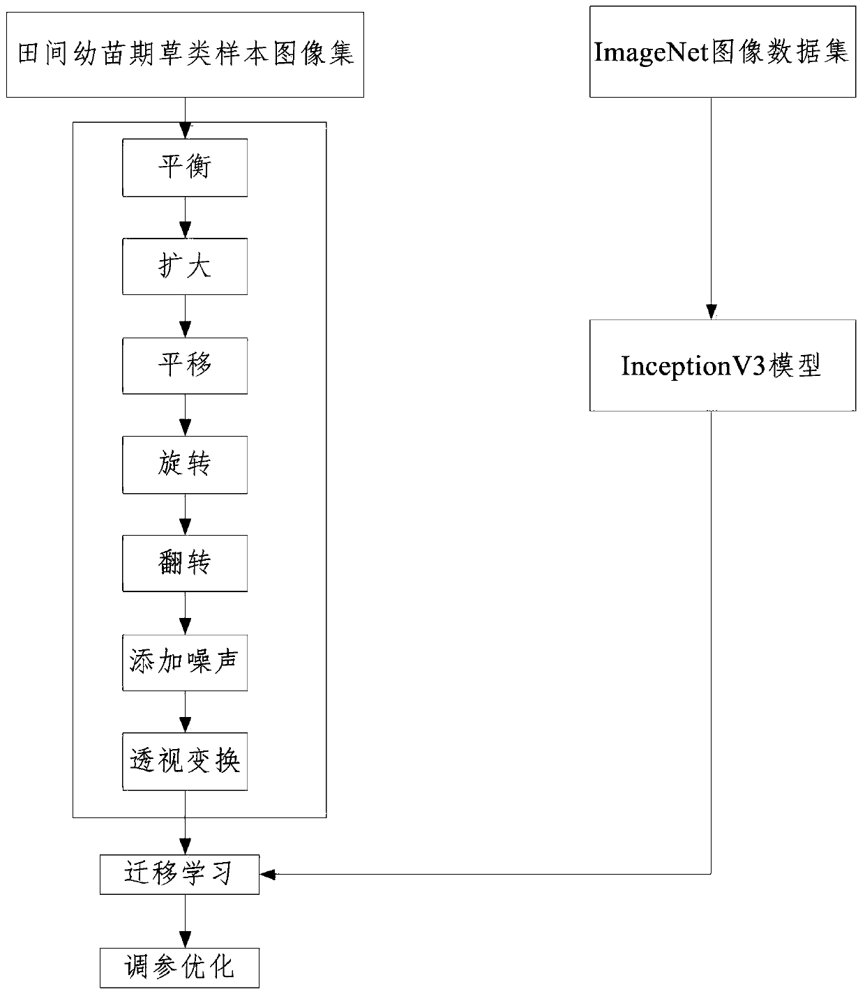 Field seedling stage grass identification method and device