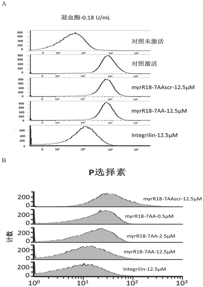 Octadecylated modified R18-7AA polypeptide and application of derivative polypeptide of octadecylated modified R18-7AA polypeptide