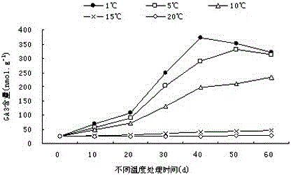 A method for releasing epicotyl dormancy of Fengdan seeds