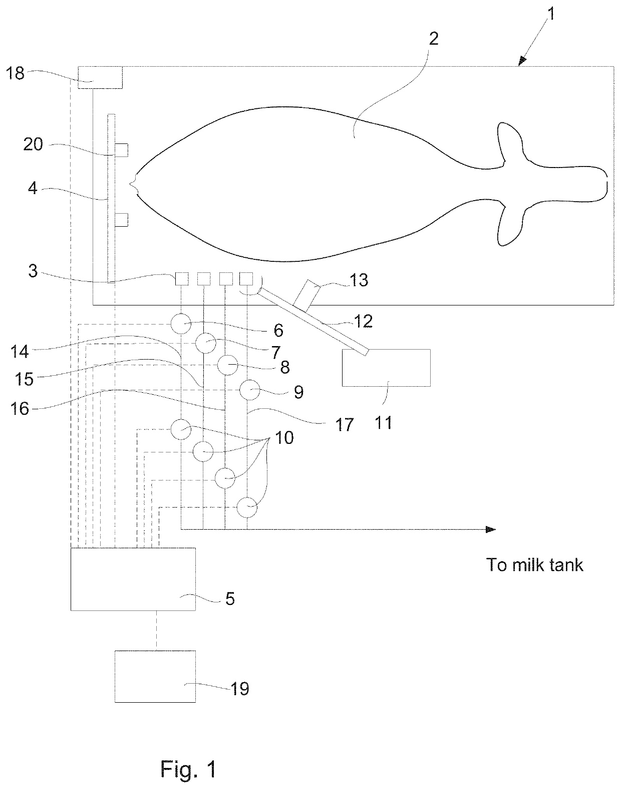 An animal hoof cleaning system and a method of cleaning an animals hoofs